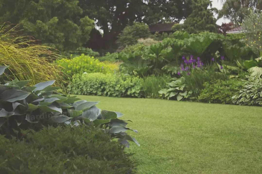 Jardin Harmonie 1