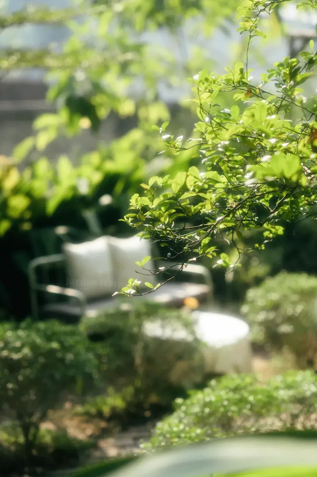 Jardin Harmonie 3