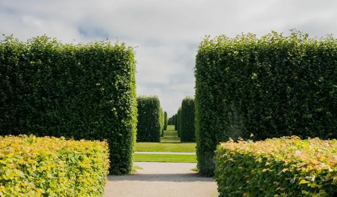 Jardin Harmonie 5