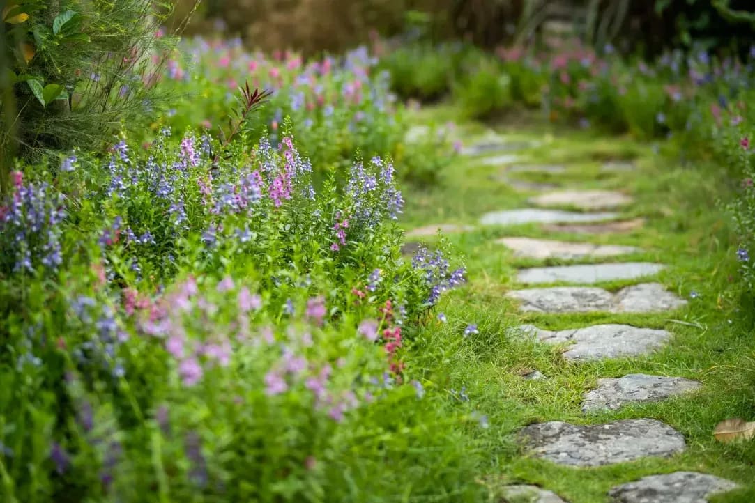 Jardin Harmonie 9